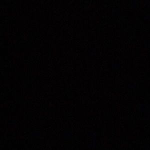 Meet your Posher, Delila